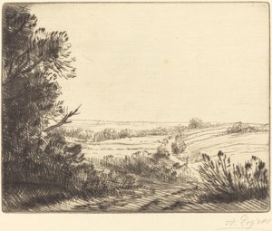Paysage : Chemin d