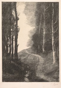 Paysage à Bouleaux