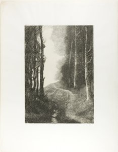 Paysage avec bouleaux