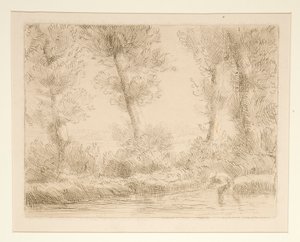 Les bords de la Liane