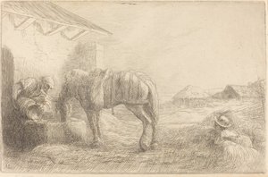 Homme abreuvant un cheval