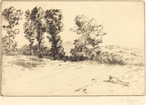 Le pré ensoleillé