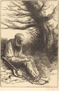 Vieil homme, vieil arbre