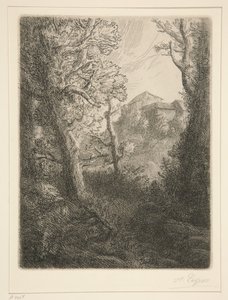 Paysage