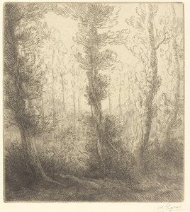 Le petit lac - Alphonse Legros