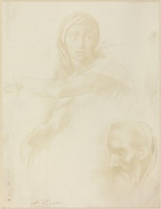 Étude de la Sibylle de Delphes, Tête d
