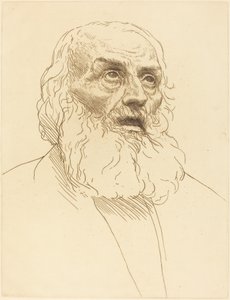 Étude de vieillard