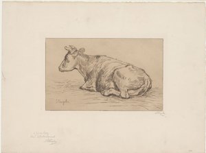 Vache couchée - Alphonse Stengelin (signed by artist)