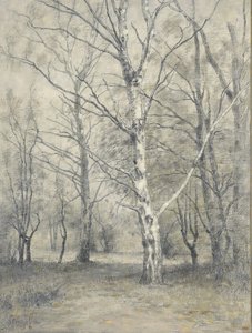 Forêt avec des bouleaux - Alphonse Stengelin