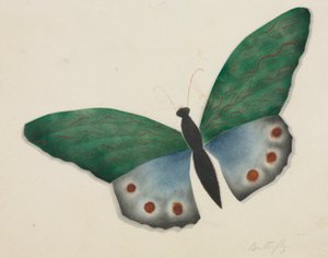 Papillon (aquarelle) - Altha Mary Nims
