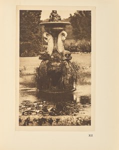 La fontaine aux dauphins