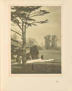 Le bord du jardin