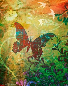 Haïku Papillon, 2014