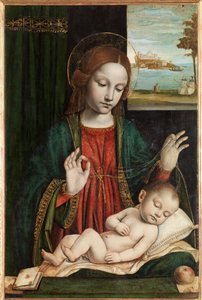 Madonna et Enfant endormi (Madonna du Voile)