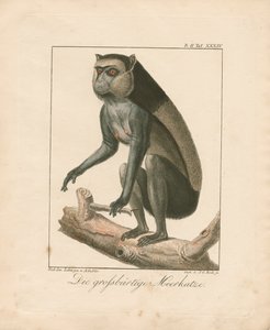  - Ambrosius Gabler