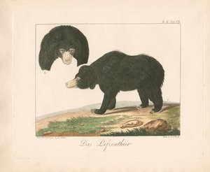  - Ambrosius Gabler