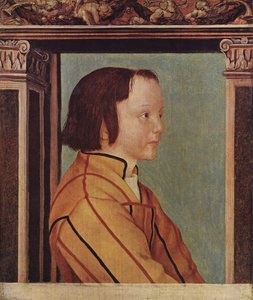 Garçon aux cheveux bruns