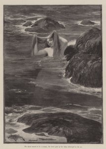 La sirène de Lighthouse Point, par Bret Harte - Amedee Forestier