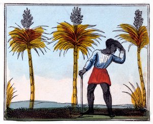 Coupe de la canne à sucre, 1826 - Amelia Alderson Opie