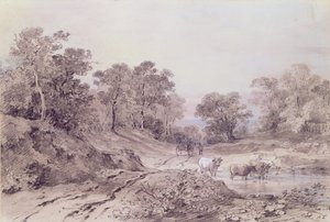 Une route de campagne entre les arbres - Amelia Long