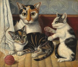Chat et chatons