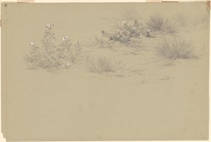 Buisson en Fleurs et Plantes du Désert - American 19th Century after John Frederick Kensett
