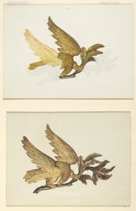Aigle