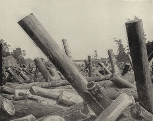 Embâcle de bois dans la rivière St Croix, Wisconsin