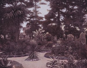 Un jardin de cactus du sud de la Californie