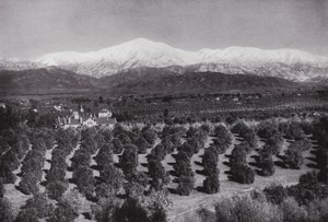 Californie : Redlands, depuis Smiley Heights, soleil, orangeraies et sommets enneigés