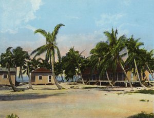 Cottages au Long Key Fishing Camp (photo)