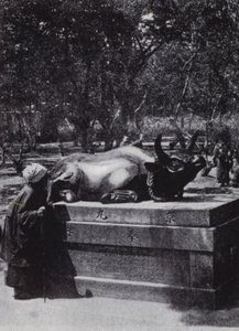 Femme dévote caressant un taureau en bronze - American Photographer (after)