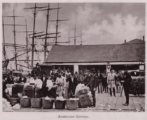 Échantillonnage de coton - American Photographer (after)