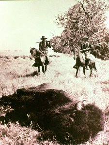 Chasseurs de bisons américains