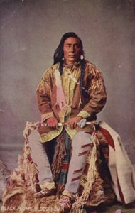 Black Plume, Blood Indian (photo)