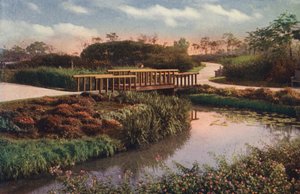 Chicago : Chemins sinueux et passerelles dans la nouvelle section du parc Humboldt, North West Side (photo couleur)