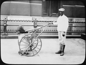 Nettoyeur de rue de la ville, Philadelphie, vers 1920 - American Photographer