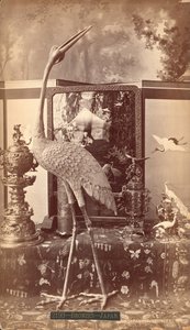 Exposition de bronzes japonais, oiseaux, Exposition internationale du centenaire, Philadelphie - American Photographer