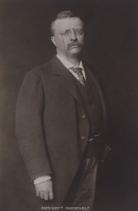 Theodore Roosevelt, 26e Président des États-Unis, 1904