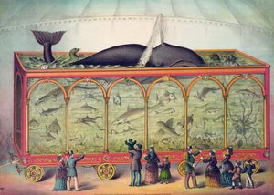 Aquarium de cirque du XIXe siècle