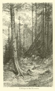 Une gorge dans les Pyrénées - American School