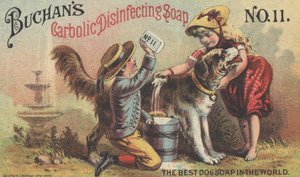 Publicité pour le savon désinfectant carbolique de Buchan No. 11, c.1880