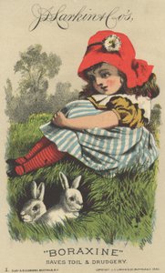 Publicité pour le Boraxine de J. D. Larkin & Co., 1882 - American School