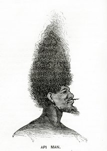Api Man, illustration de Appletons Journal, 4 mai 1872 - American School