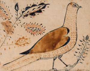 Oiseau - American School
