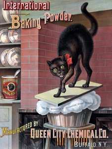 Chat noir réveillé par la pâte à pain qui monte, vers 1885
