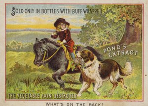 Garçon montant un poney avec son chien - American School