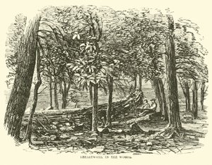 Travail de terrassement dans les bois, juillet 1863 - American School
