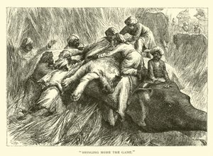 ?Ramener le gibier? - American School