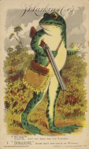 Grenouille avec un fusil et une sacoche